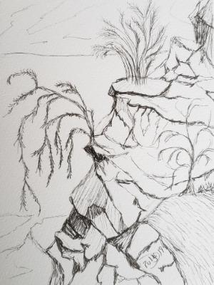 The thirsty plant longs to sip the sweet water flowing in the valley below.  5 1/2 × 7 1/2 sketch on